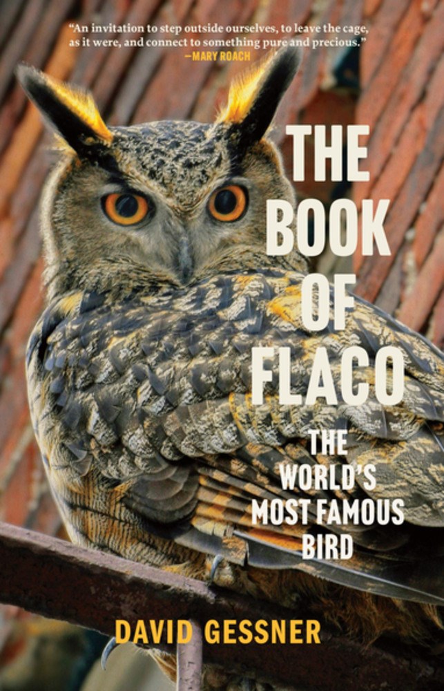 The Book of Flaco: The World’s Most Famous Bird