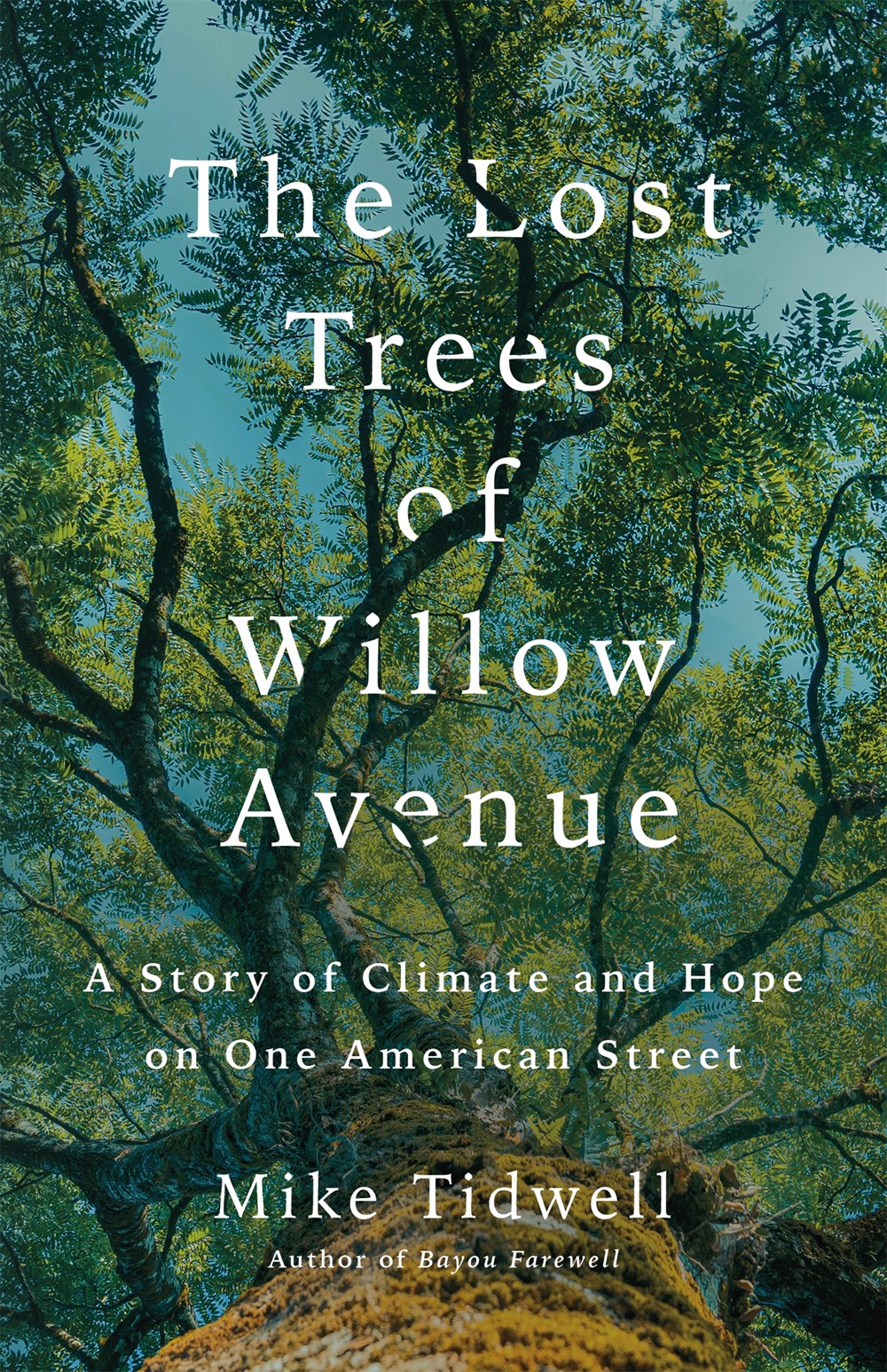 The Lost Trees of Willow Avenue: A Story of Climate and Hope on One American Street