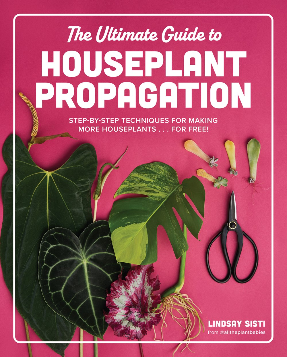 The Ultimate Guide to Houseplant Propagation: Step-by-Step Techniques for Making More Houseplants…for Free!