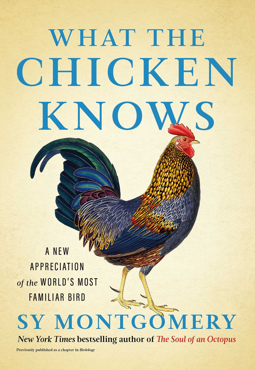 What the Chicken Knows: A New Appreciation of the World’s Most Familiar Bird