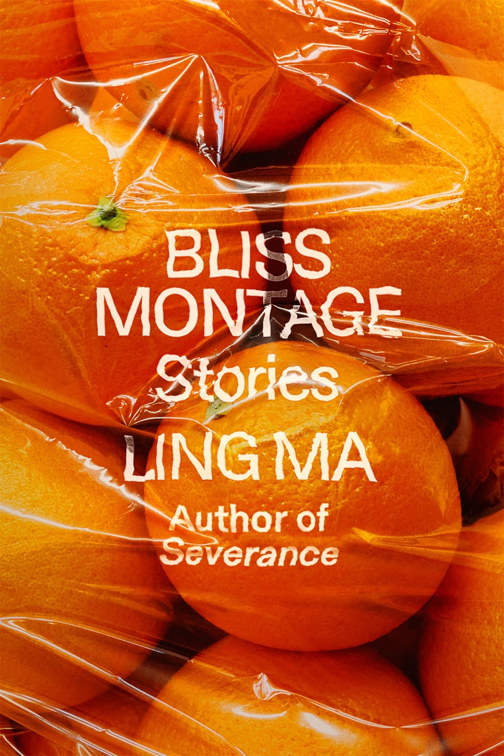 bliss montage book